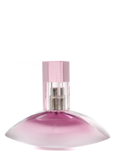 CALVIN KLEIN - EUPHORIA BLOSSOM